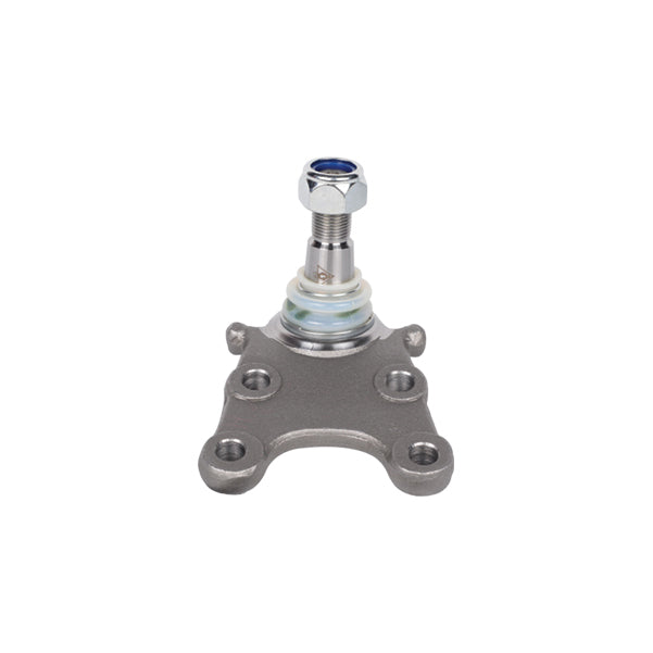Isuzu Campo Faster Trooper Opel Campo Frontera Monterey Ball Joint Lower 8944521021 94459465 8944594652 8944594651 8972357760 8980058750 8944521020 8972350200 98005875 352828