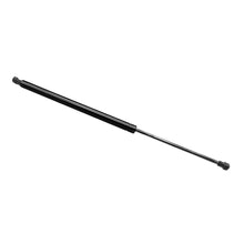 Load image into Gallery viewer, BMW E46 Tailgate Gas Springs Shock Strut 51248232873